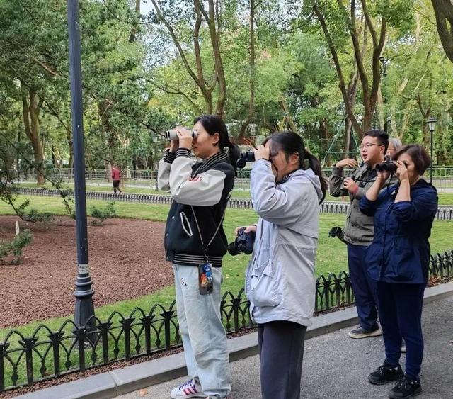 生物多样性｜清晨6点半，你会在长宁区的中山公园看到……-2.jpg