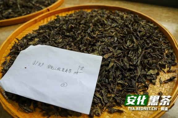 带你看华莱③：精益求精 黑茶质量审评大有讲究-4.jpg