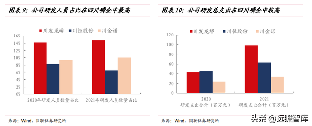 立足磷化工，川发龙蟒：磷酸铁锂产业巨头，矿化一体保障长期长大-10.jpg