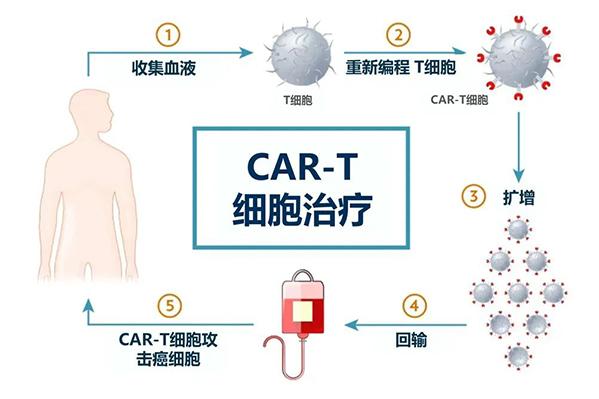 对话普利策奖得主穆克吉：“传统医学”没有受挫，要更综合地看待各种医学的优势-2.jpg