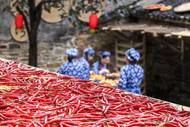 《大地》武汉乡村振兴周刊“闯关”特别报道-9.jpg