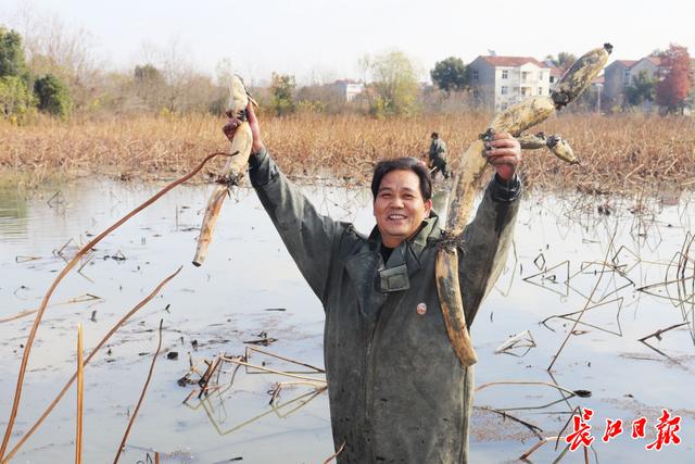 《大地》武汉乡村振兴周刊“闯关”特别报道-30.jpg