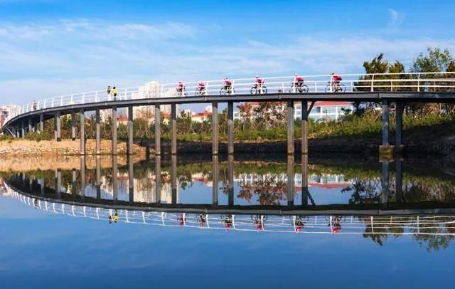 一海阳光 一城绿美——山东省日照市阳光海岸绿道生态保护修复案例-5.jpg